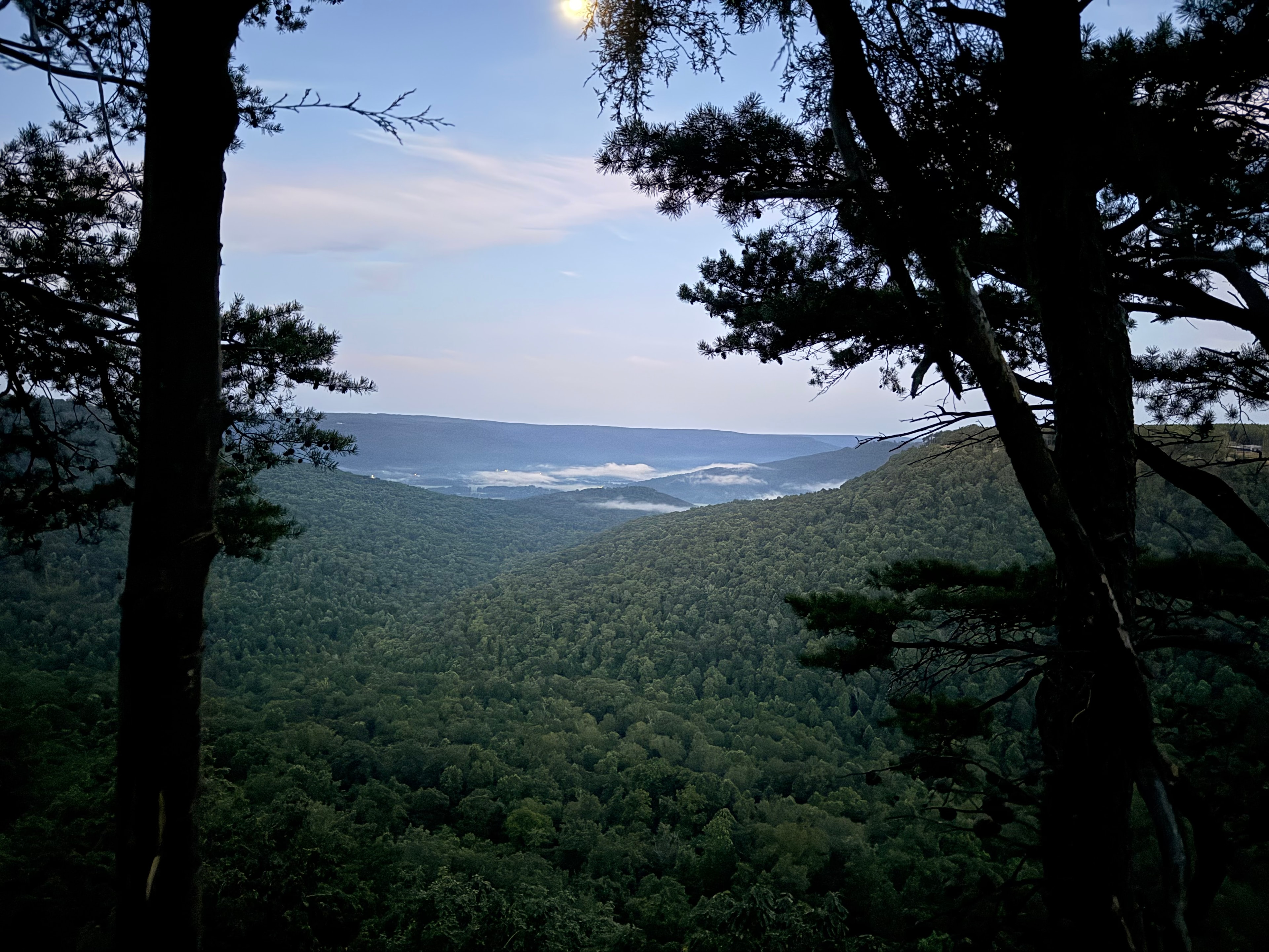 Pine trees framing a misty mountain valley at dusk