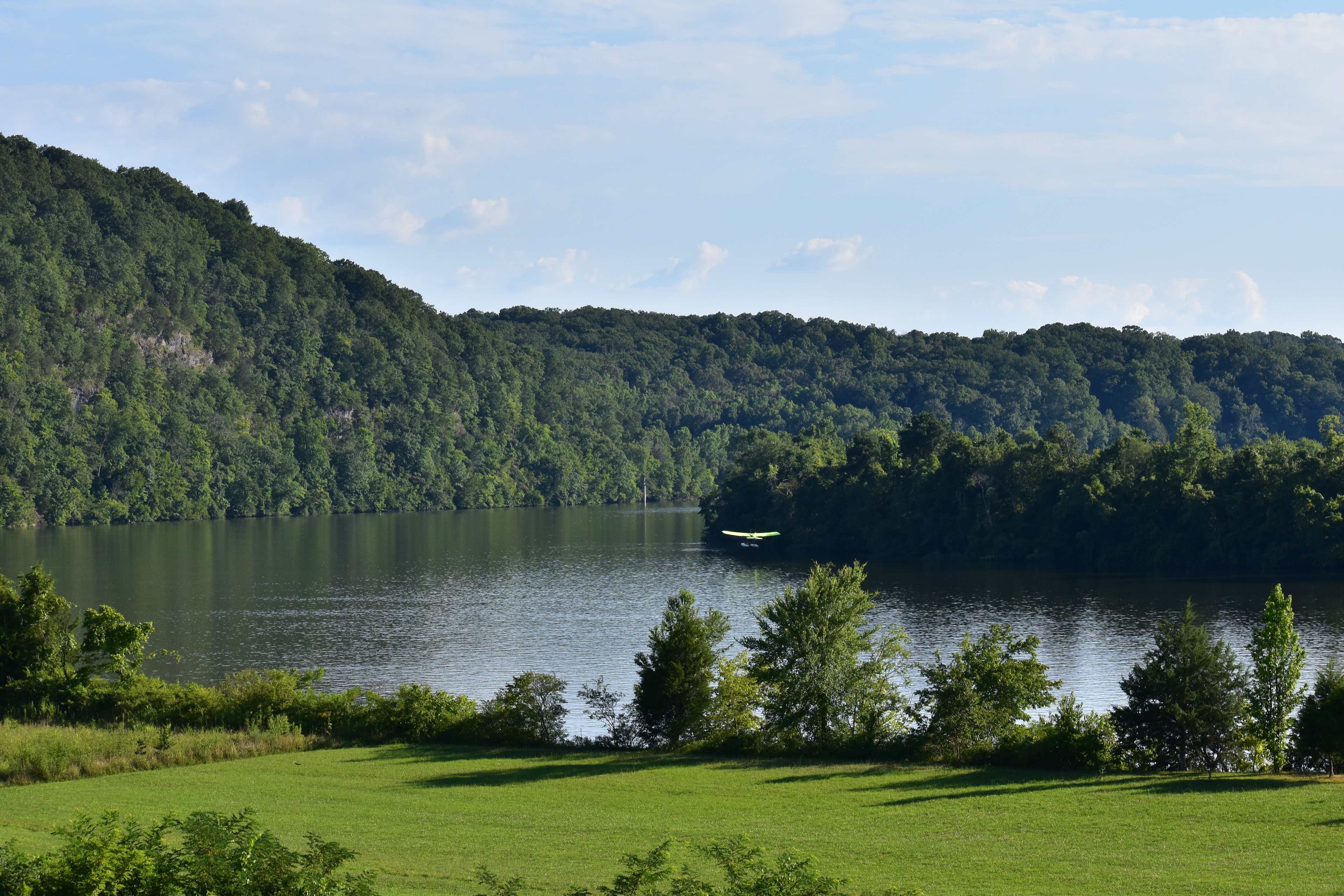 Forested riverbank with calm water and green meadow