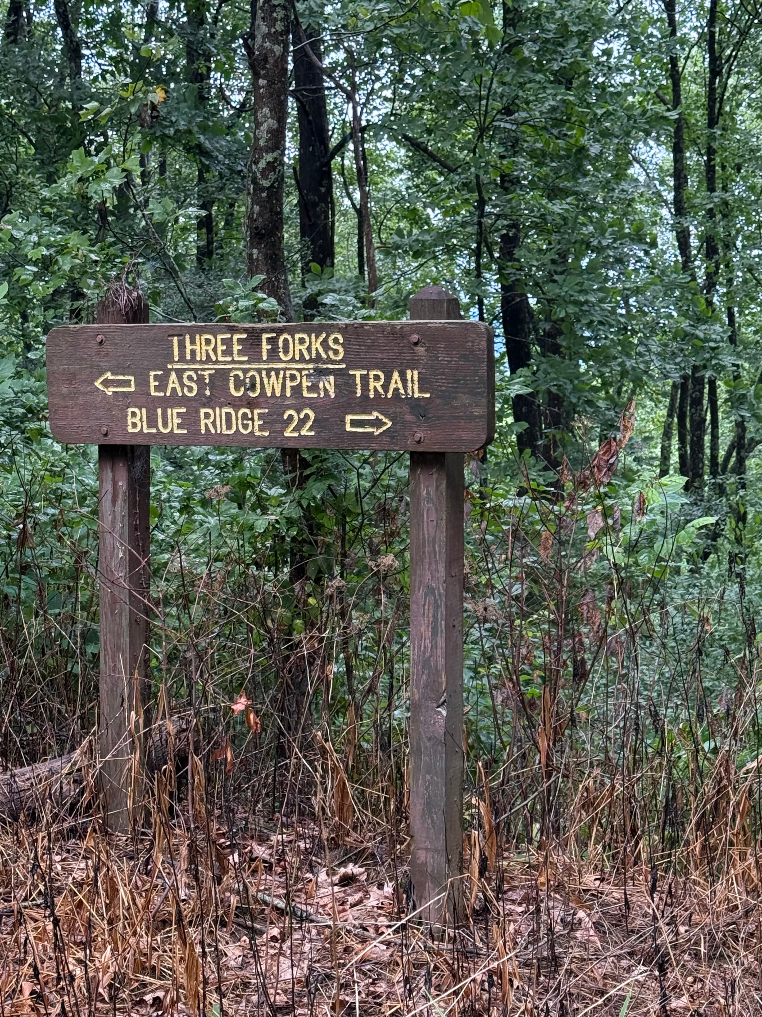 Wooden trail sign for Three Forks, East Cowpen Trail, and Blue Ridge 22