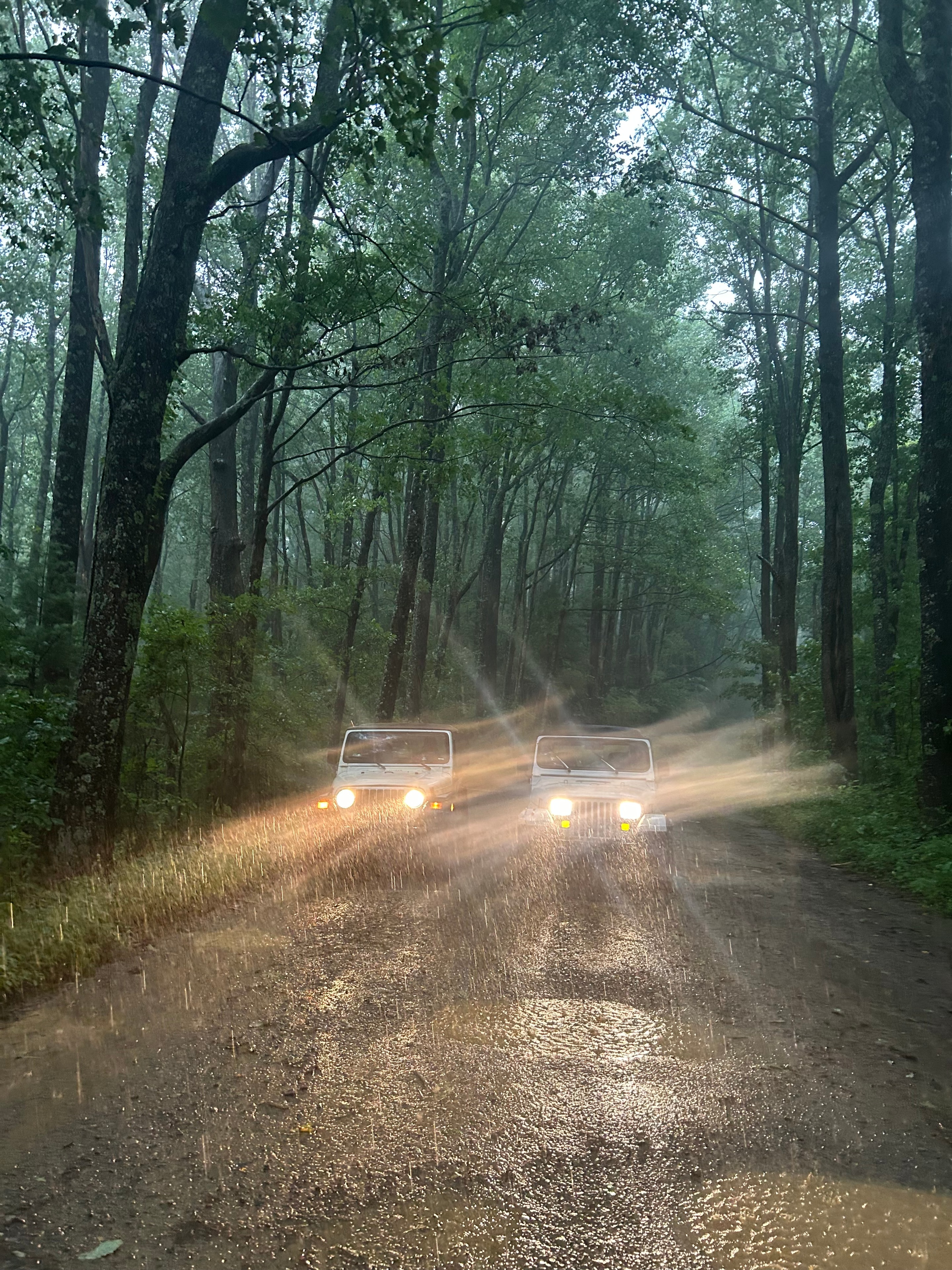 Trucks with headlights on driving through a rainy forest road