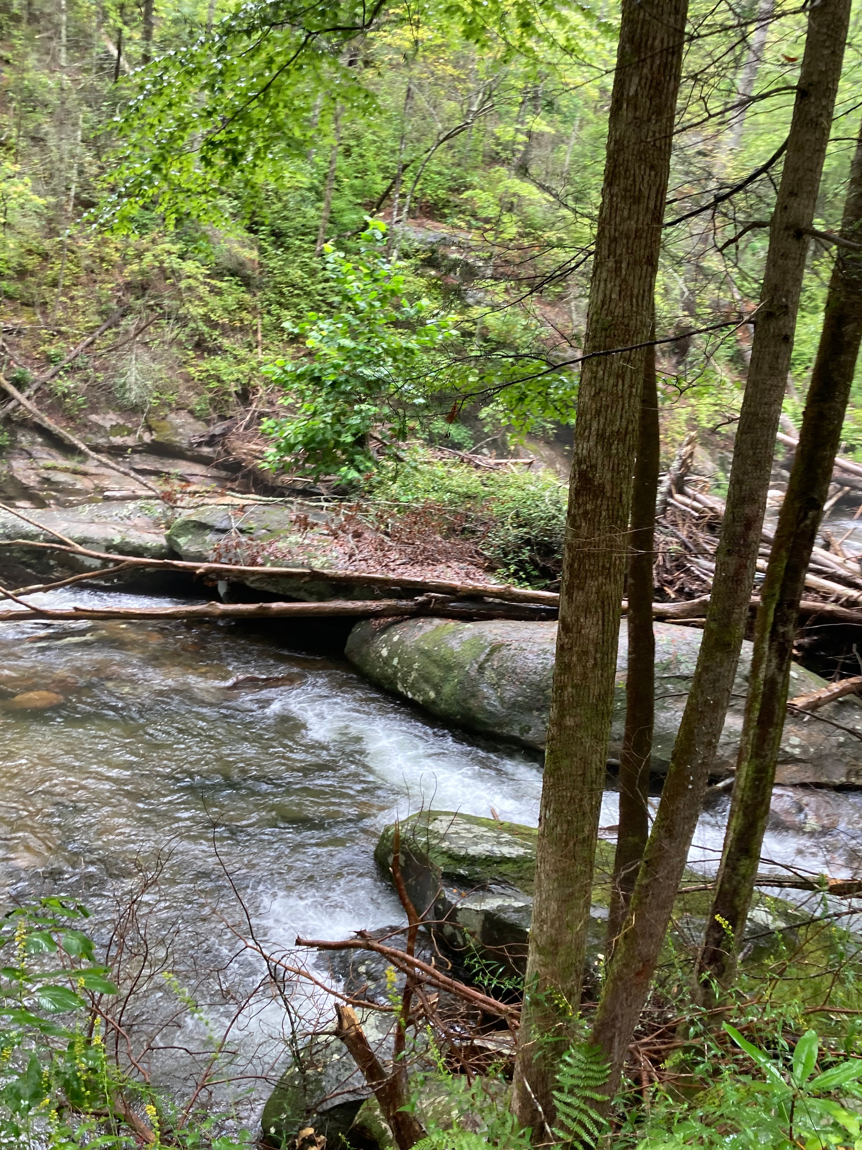 Waterfall cascading over rocks beneath a wooden bridge