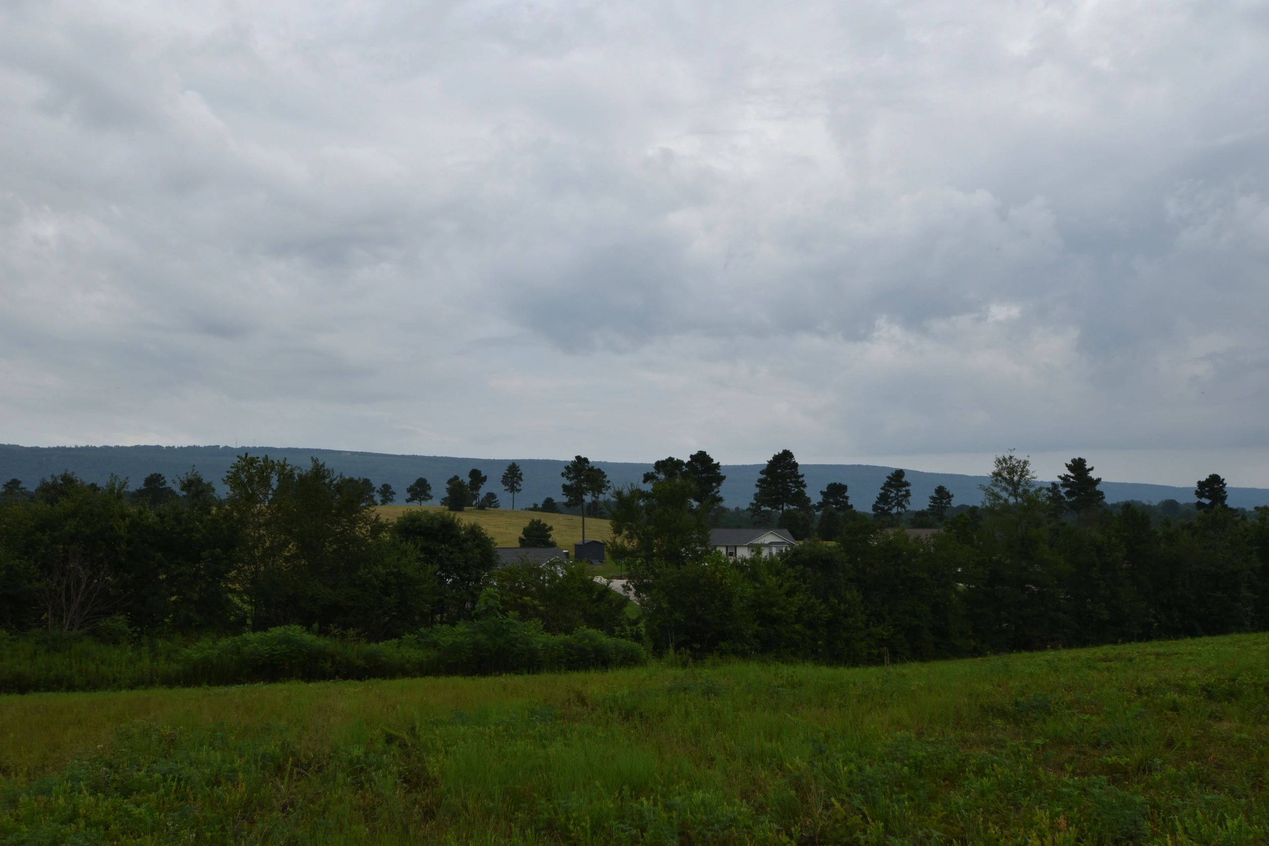 Out and about in Tennessee