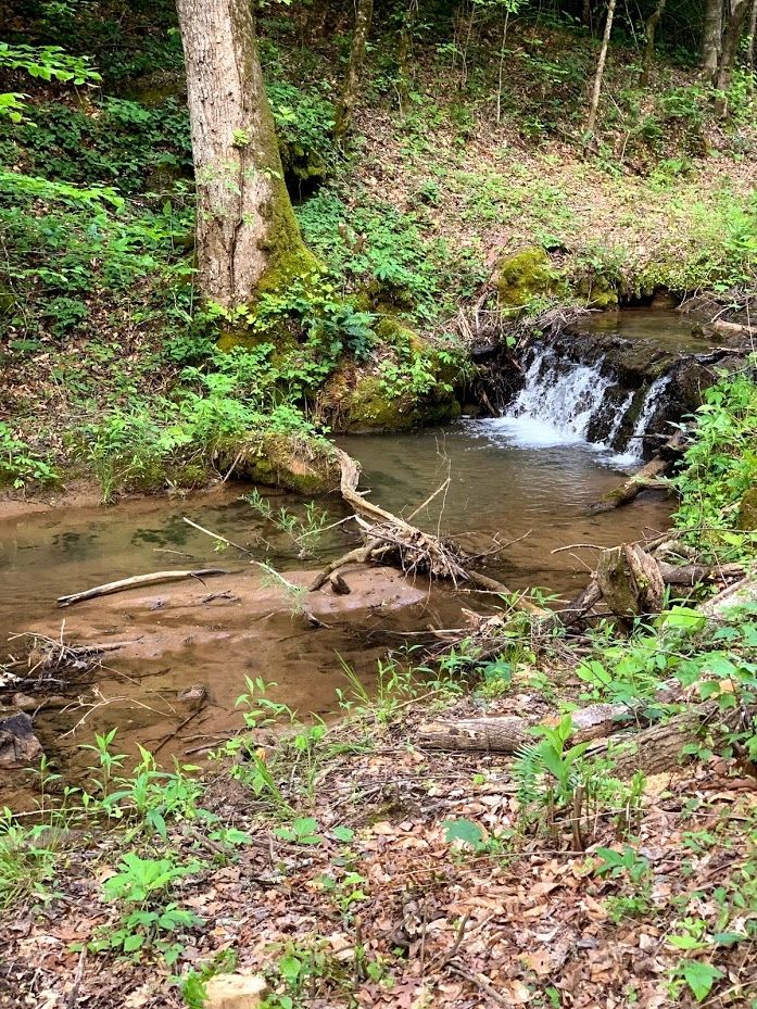 Out and about in Tennessee or Georgia