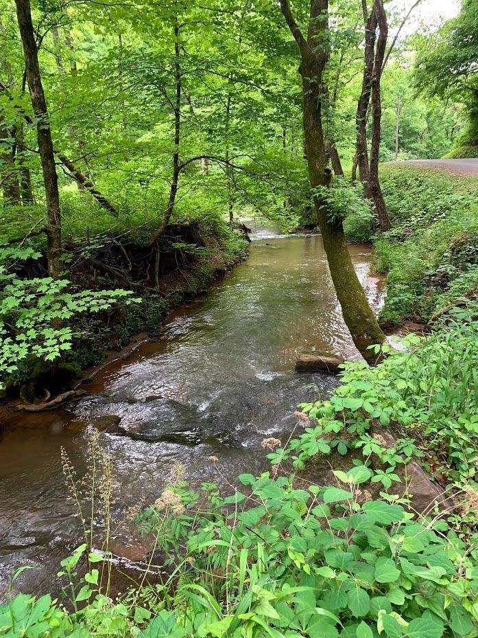 Out and about in Tennessee or Georgia