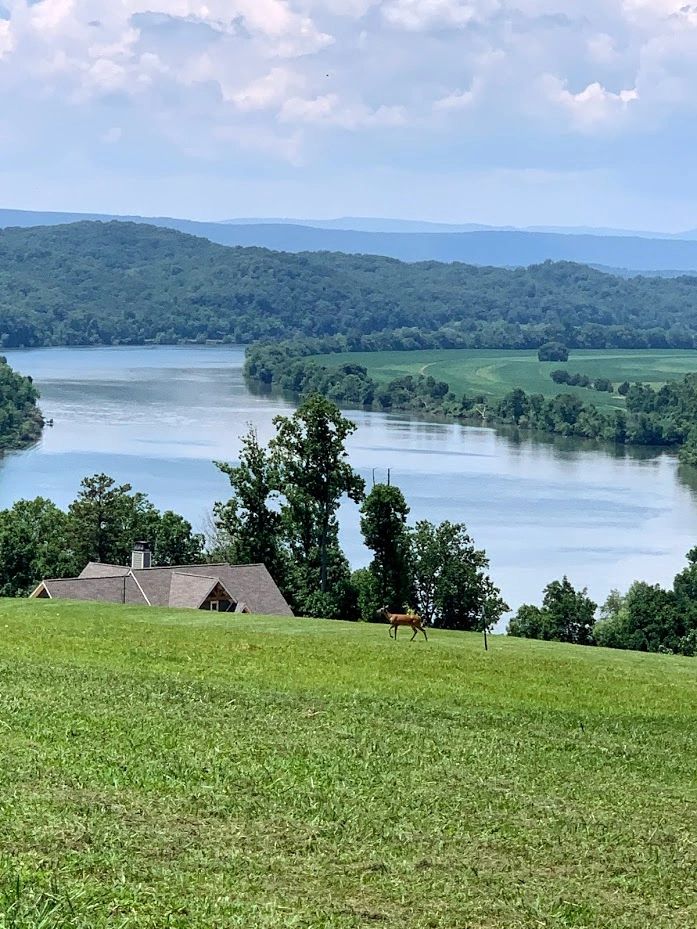 Out and about in Tennessee or Georgia